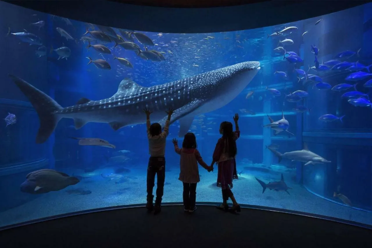 ［ベイエリア］アパートメント（39m²）｜ 3ベッドルーム／1バスルーム 大阪市